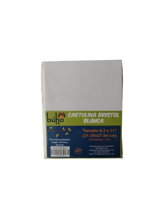 CARTULINA BRISTOL T/CARTA BLANCA 100U