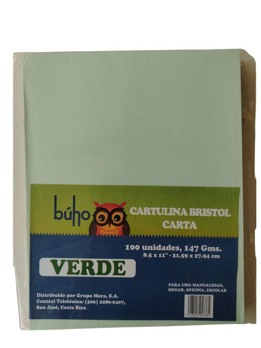 CARTULINA BRISTOL BUHO CARTA VERDE 100 H