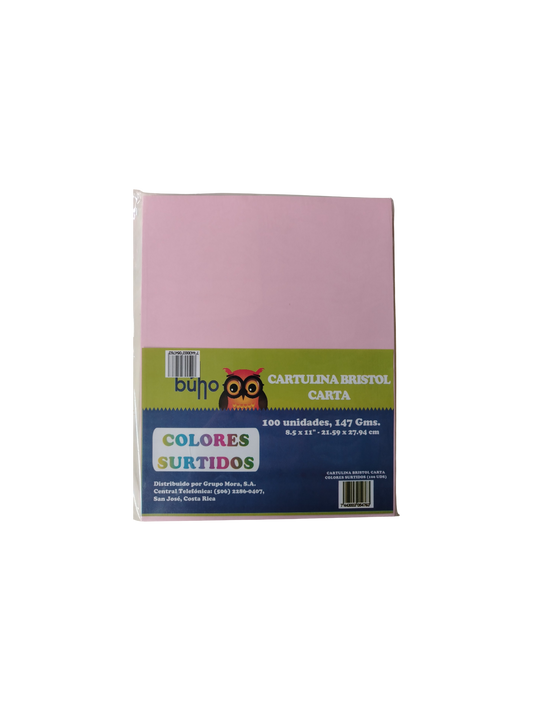 CARTULINA BRISTOL BUHO T/C COLORES SURTIDOS 100UNDS