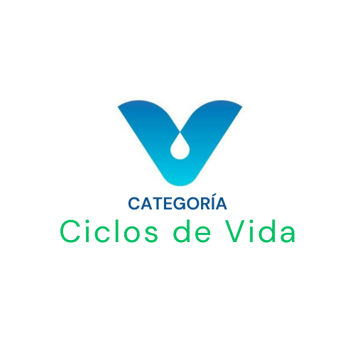 Ciclos de Vida