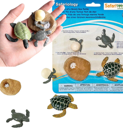 CICLO DE LA VIDA (PLANTA/POLLO/MOSCA/HORMIGA/RANA) SAFARI