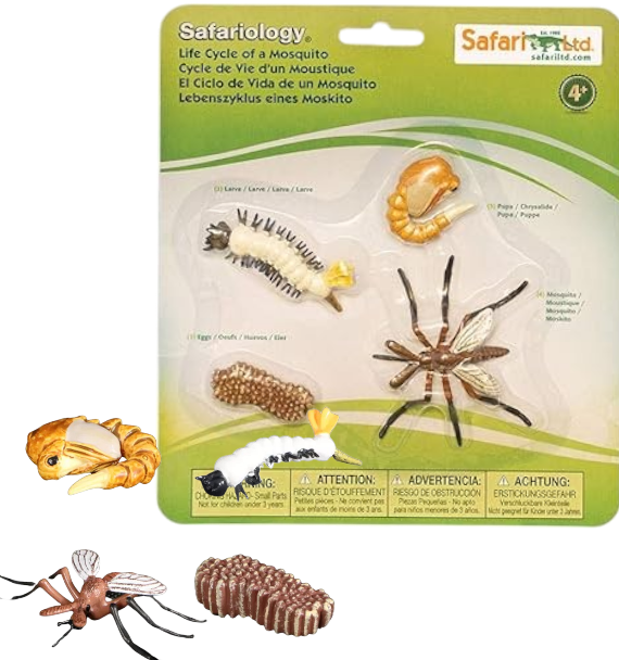 CICLO DE LA VIDA (PLANTA/POLLO/MOSCA/HORMIGA/RANA) SAFARI