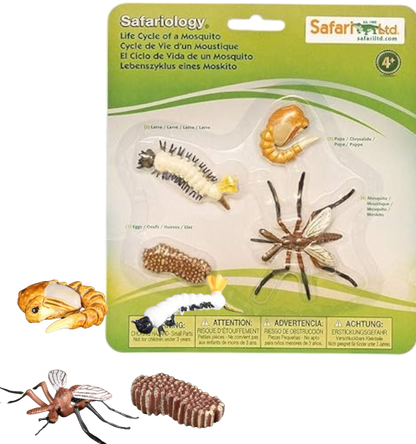 CICLO DE LA VIDA (PLANTA/POLLO/MOSCA/HORMIGA/RANA) SAFARI