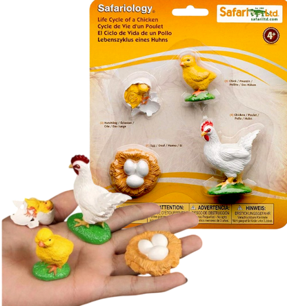 CICLO DE LA VIDA (PLANTA/POLLO/MOSCA/HORMIGA/RANA) SAFARI