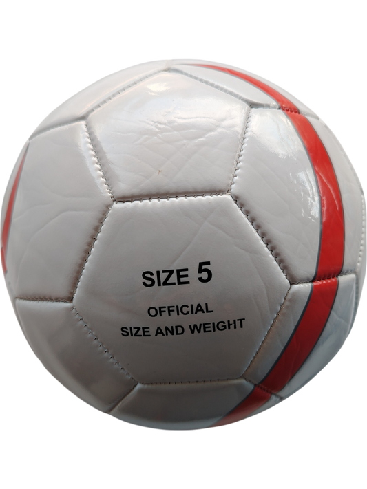 BOLA DE FUTBOL #5 ECO