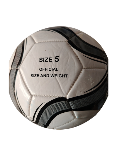 BOLA DE FUTBOL #5 ECO