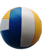 BALON DE VOLLEYBALL CHEETAH