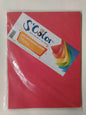 PAPEL COLOR FUERTE SURT 2 LADOS PAQ 50s