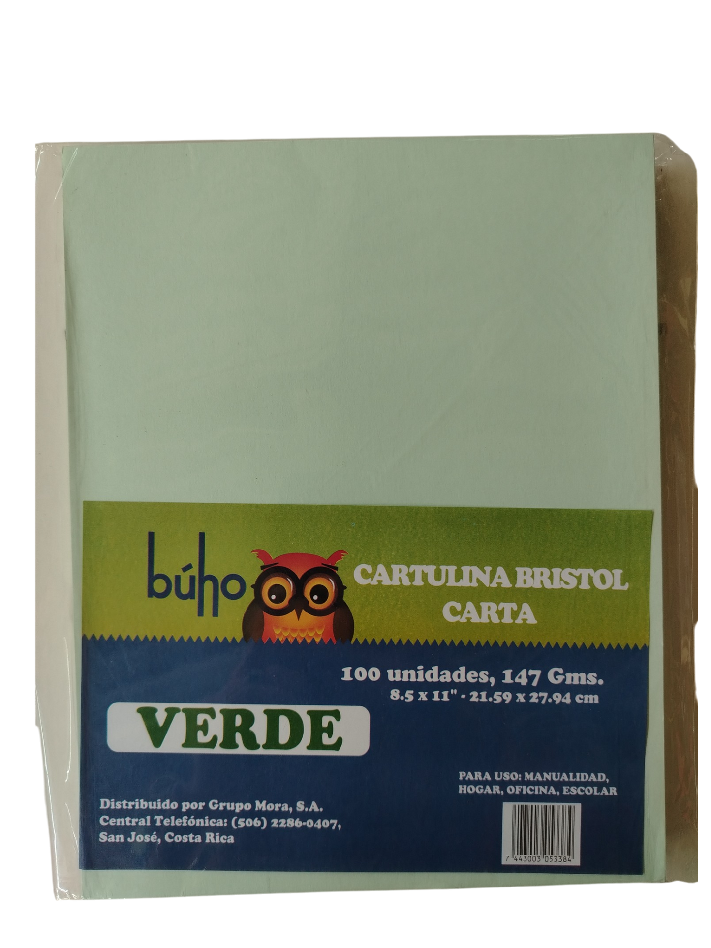 CARTULINA BRISTOL BUHO CARTA VERDE 100 H