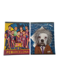 CUADERNO DE DIBUJO MASCULINO 45 HOJAS (20 X 26 CM)