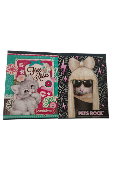 CUADERNO DE DIBUJO LIDER FEMENINO 45 HOJAS (20 X 26 CM)