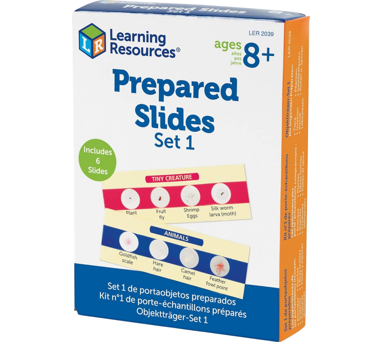 JUEGO LAMINAS DE MICROSCOPIO LEARNING RESOURCES