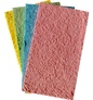 DIDACTICO ESPONJA COLOR MULTIUSOS UND