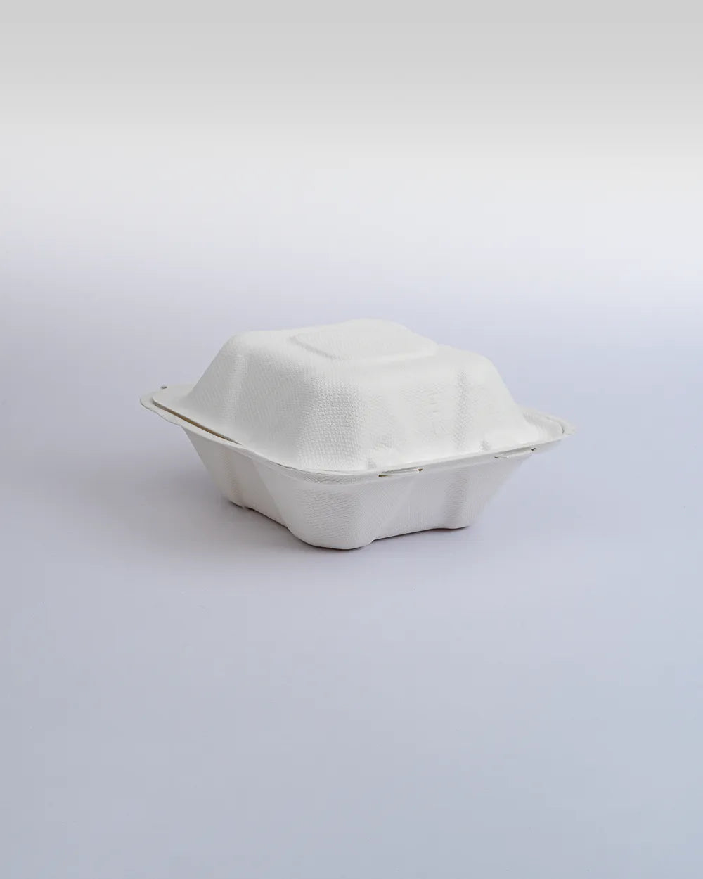 BANDEJA BIO-BELEN 6X6  BAGAZO SH06  1X50