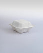 BANDEJA BIO-BELEN 6X6  BAGAZO SH06  1X50