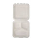 BANDEJA BIO-BELEN 9x9 C/D BAGAZO 50unds SH93