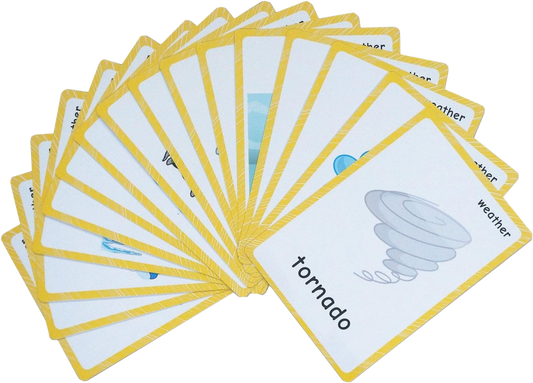 SET DE 12 TARJETAS CON TEMÁTICAS VARIADAS SEF CLIMA ETC